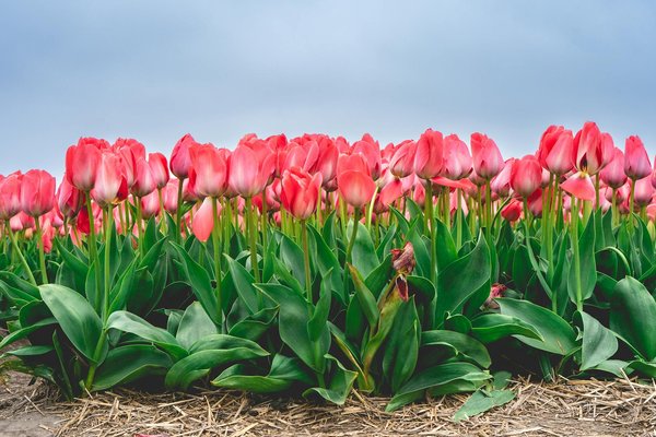 Découvrez les meilleurs architectes à nevers pour vos projets