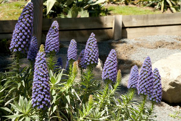 Optez pour le revêtement parfait : Transformez votre cuisine en un espace étoilé comme chez les grands chefs !